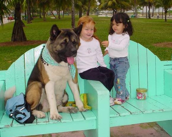 akita children